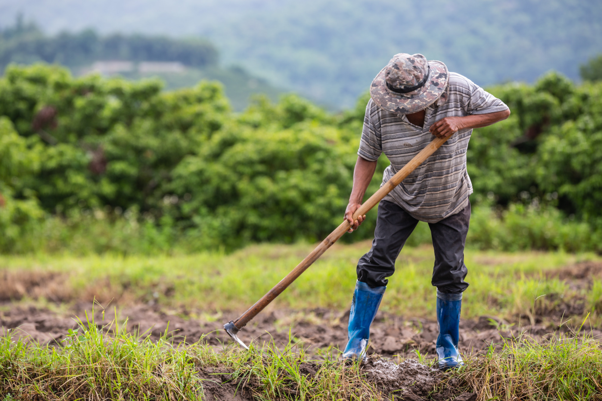 Safeguarding ecosystems, reducing pollution, and advocating for environmental policies that promote long-term sustainability.